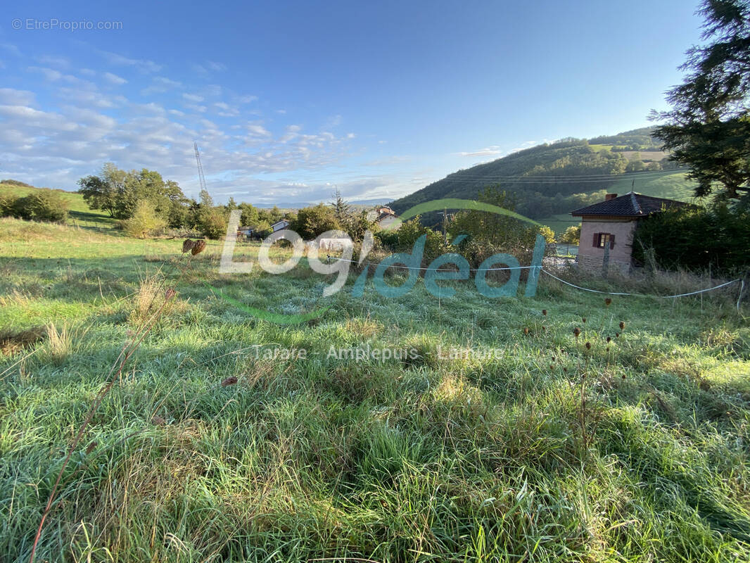 Terrain à SAINT-FORGEUX