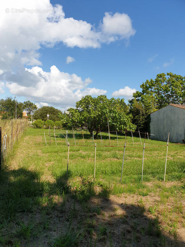 Terrain à LE GRAND-VILLAGE-PLAGE