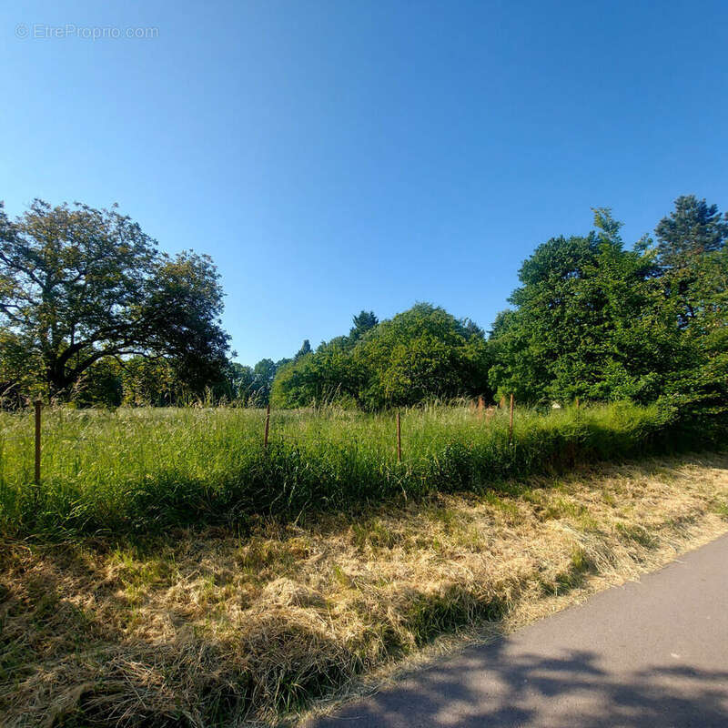 Terrain à CHAILLY-EN-BRIE