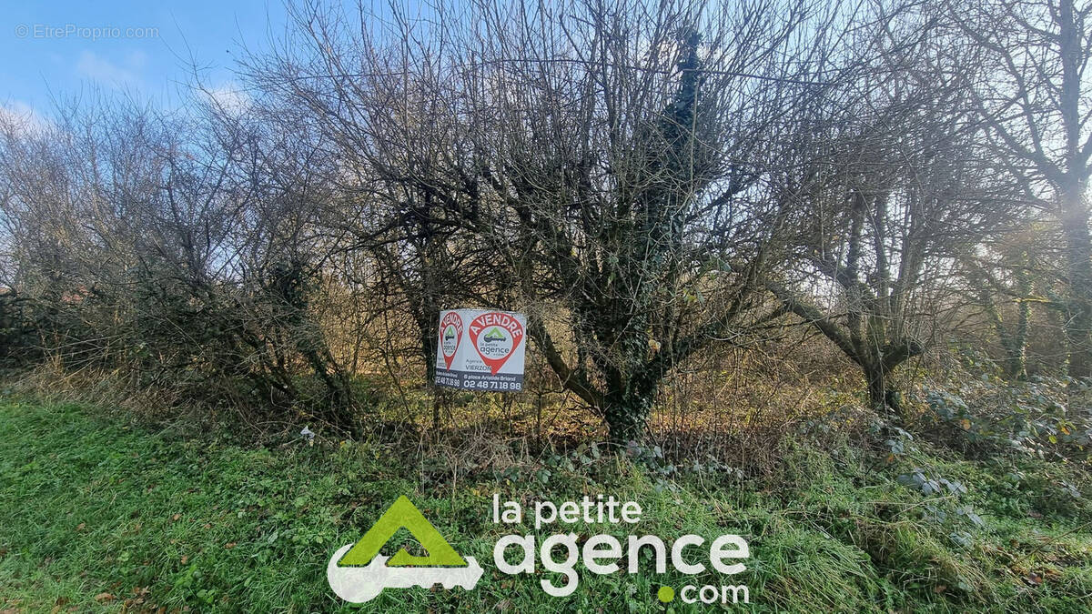 Terrain à VIGNOUX-SUR-BARANGEON