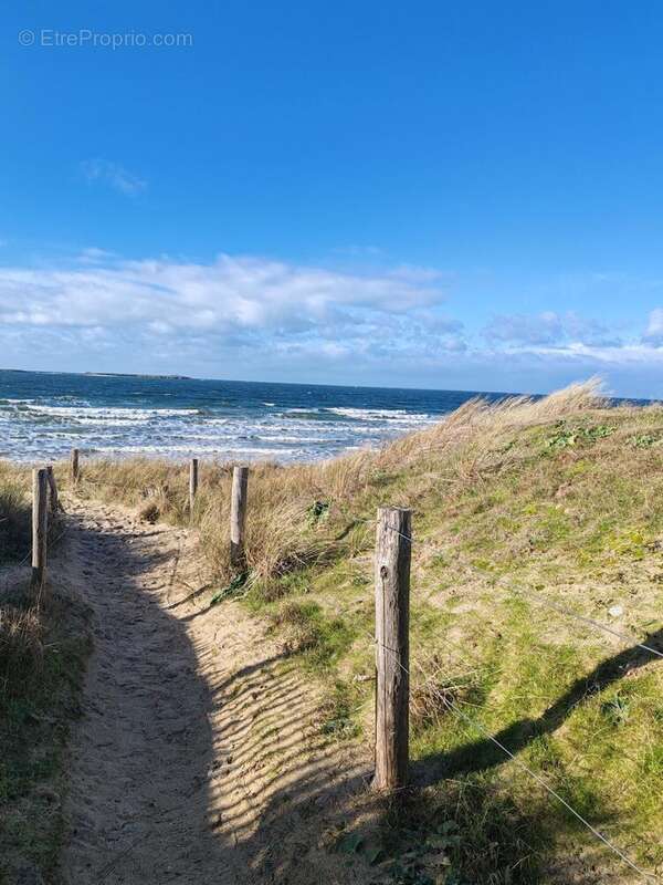 Photo 8 - Appartement à SAINT-PIERRE-QUIBERON