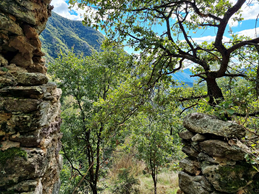 Terrain à BELVEDERE