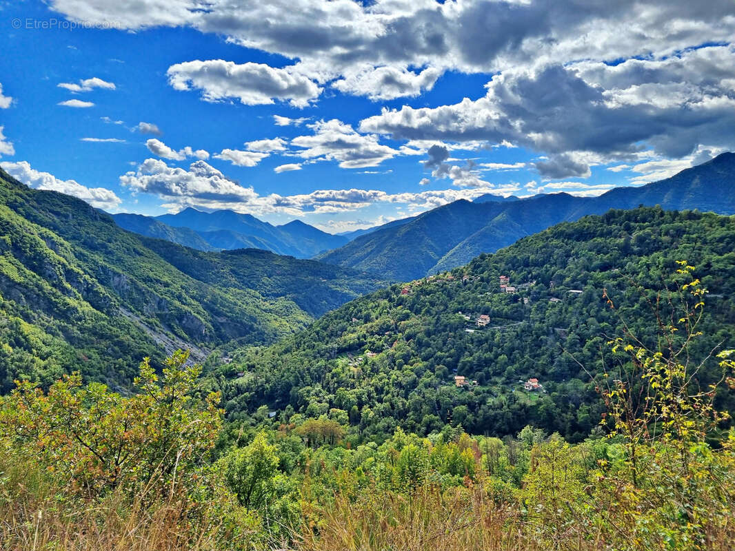 Terrain à BELVEDERE