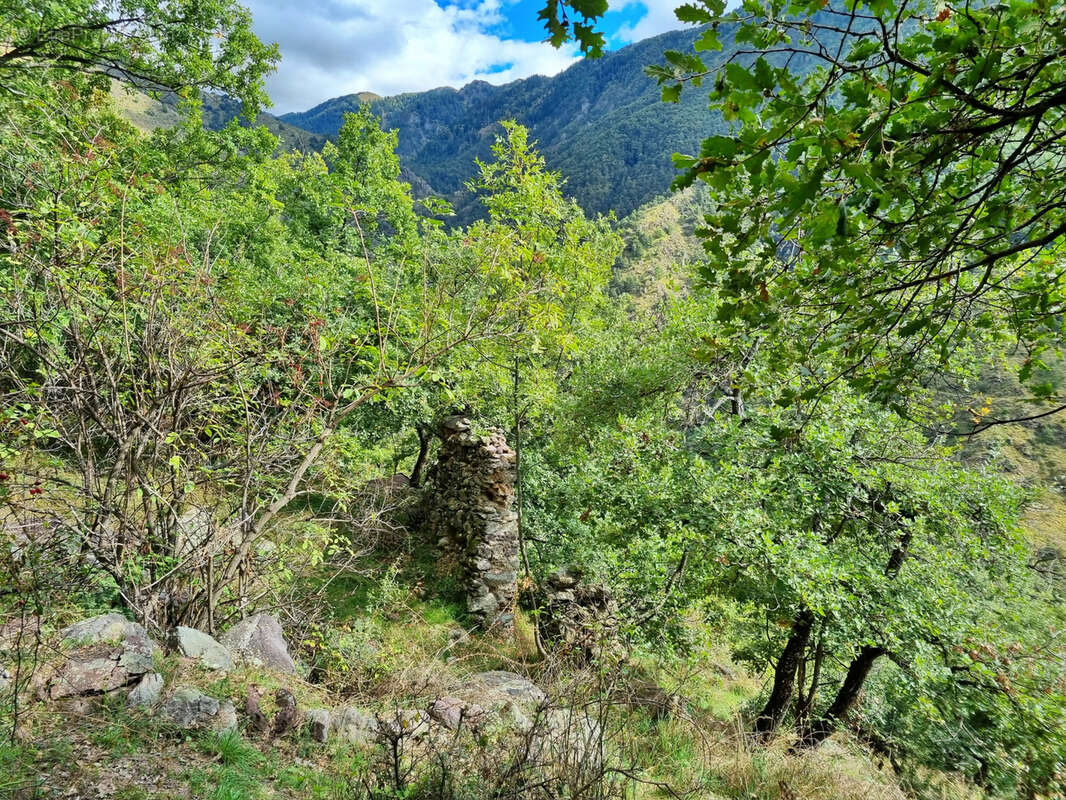 Terrain à BELVEDERE