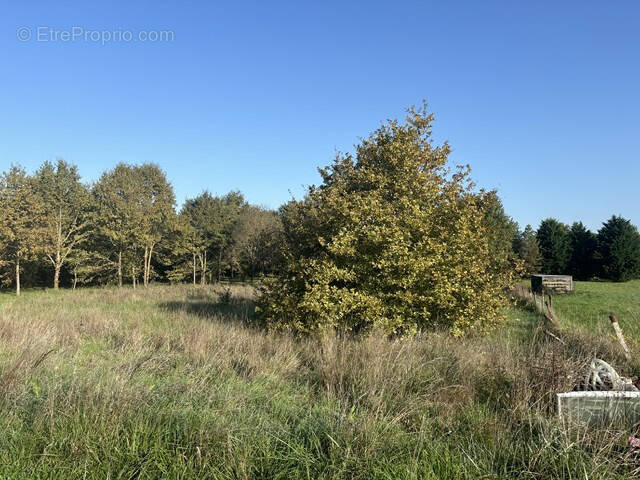 Terrain à CASTELSARRASIN