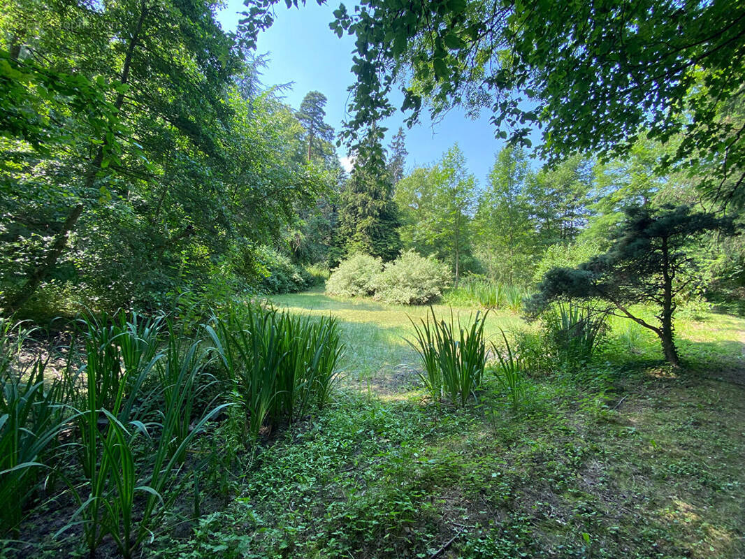 Terrain à BILLOM