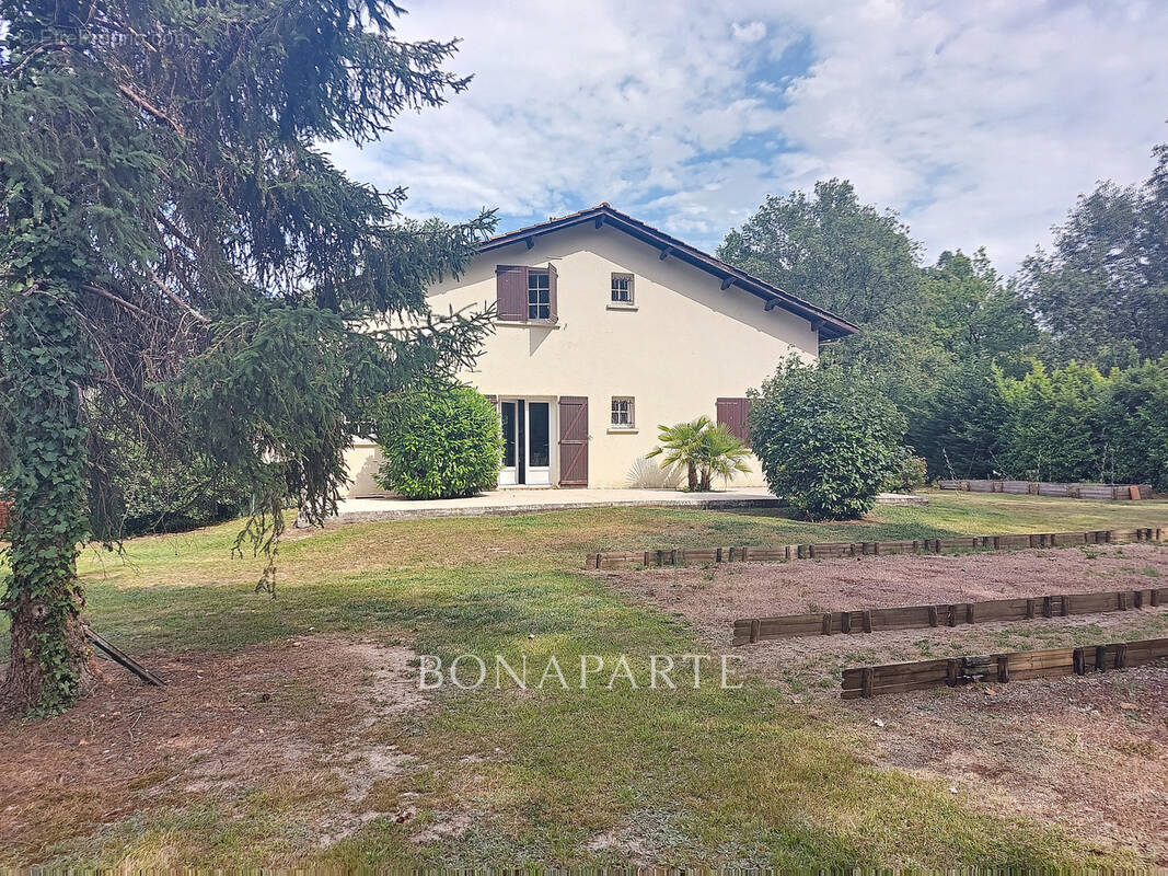 Maison à SAINT-SULPICE-ET-CAMEYRAC