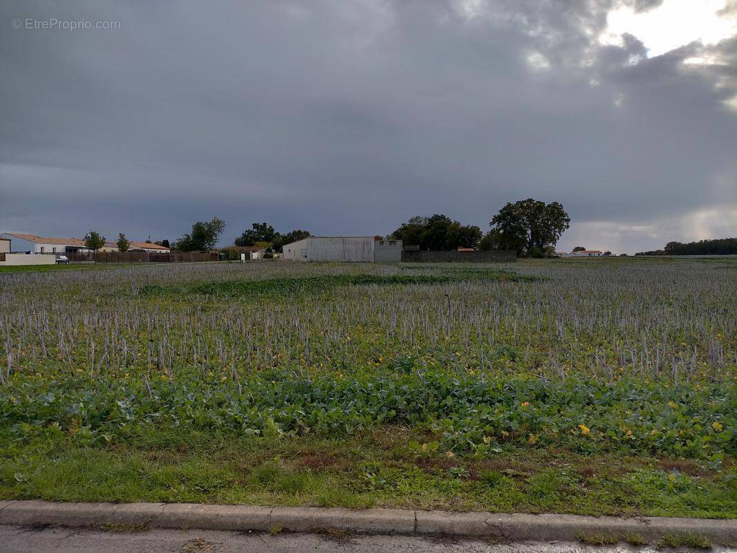 Terrain à PONT-L&#039;ABBE-D&#039;ARNOULT