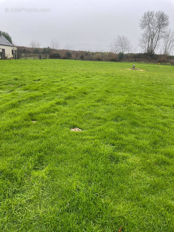 Terrain à TOURVILLE-LES-IFS