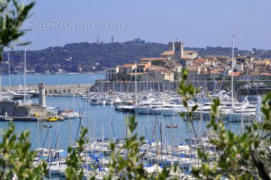 Commerce à ANTIBES