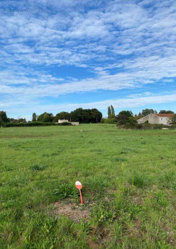 Terrain à CHANIERS