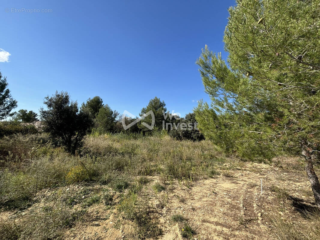 Terrain à PRADES-LE-LEZ