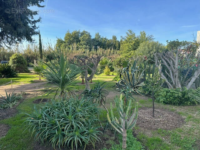 Appartement à LE LAVANDOU