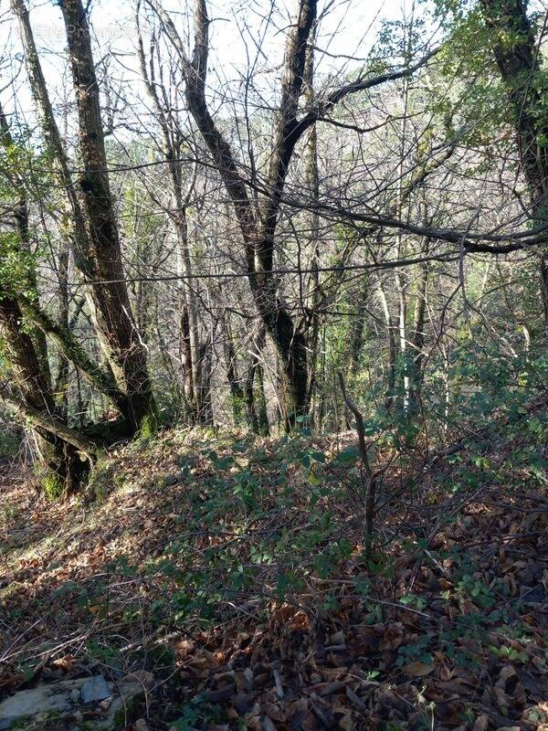 Terrain à SAINT-ETIENNE-VALLEE-FRANCAISE