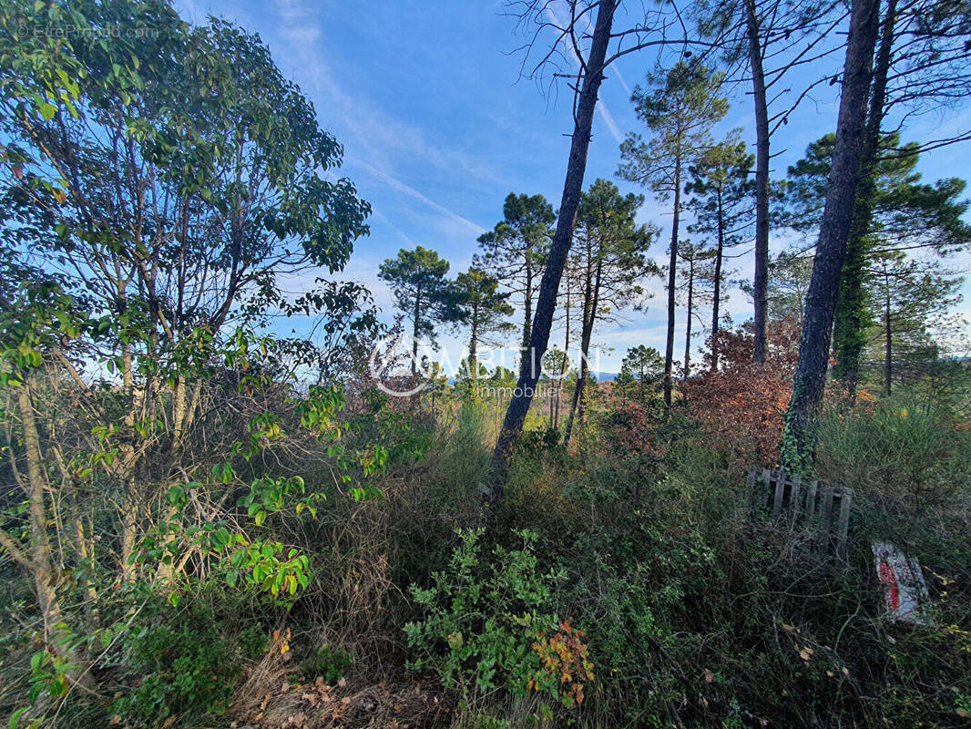 Terrain à SAINT-PAUL-EN-FORET