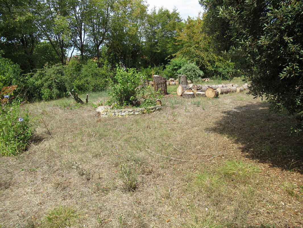 Terrain à NIEUL-SUR-MER