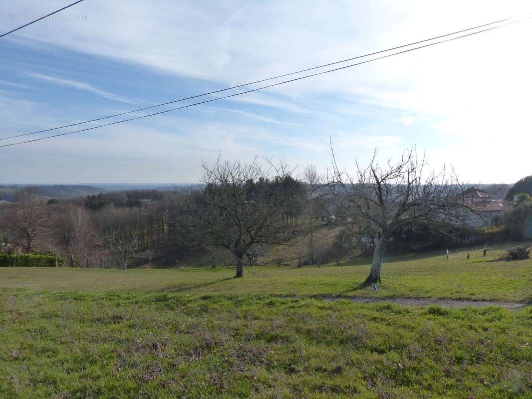 Terrain à MOISSAC