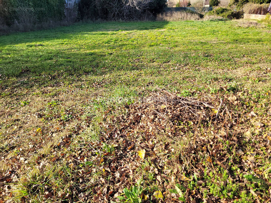 Terrain à JONQUIERES