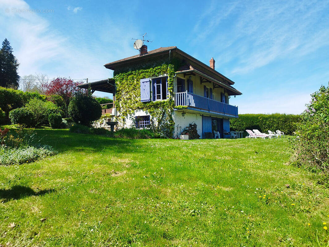 Maison à VILLIEU-LOYES-MOLLON