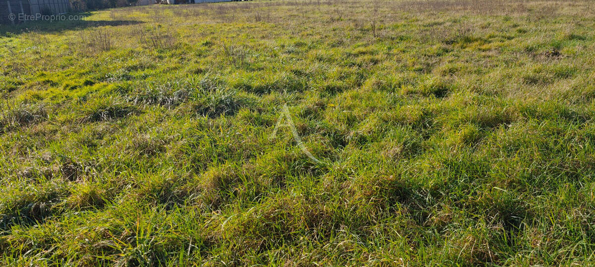 Terrain à LESPINASSE