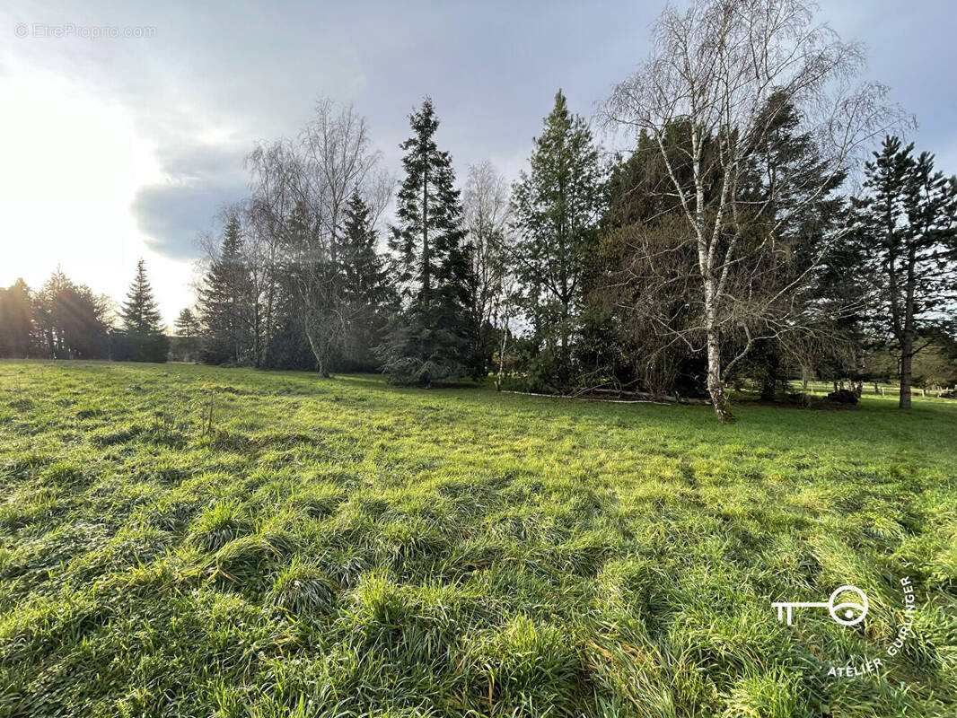 Terrain à MONTRIEUX-EN-SOLOGNE