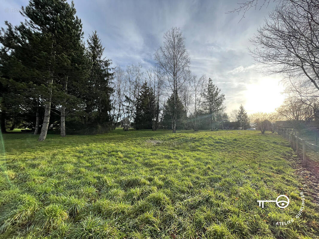 Terrain à MONTRIEUX-EN-SOLOGNE