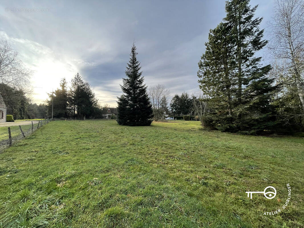 Terrain à MONTRIEUX-EN-SOLOGNE