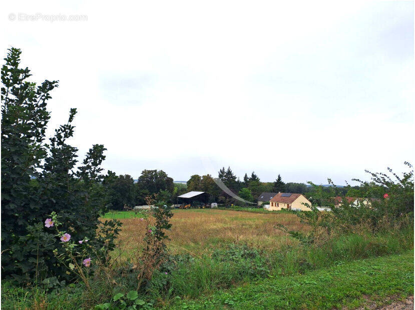 Terrain à VINNEUF