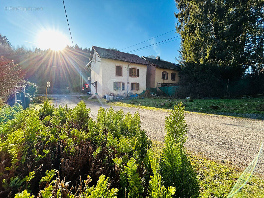 Maison à LE SAULCY