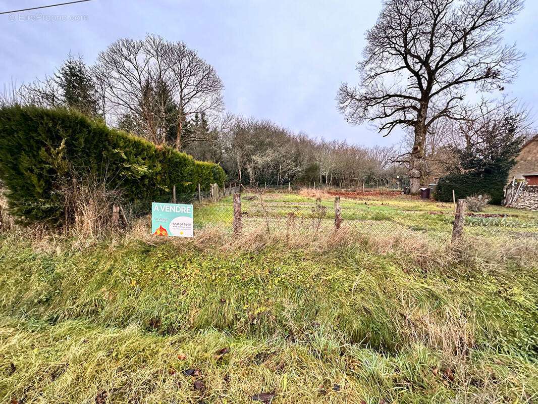 Terrain à AUBIGNY-SUR-NERE