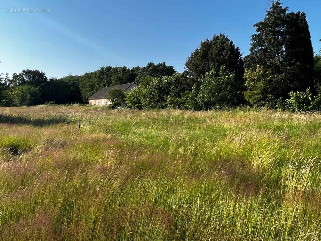 Terrain à SAINT-MARCEL