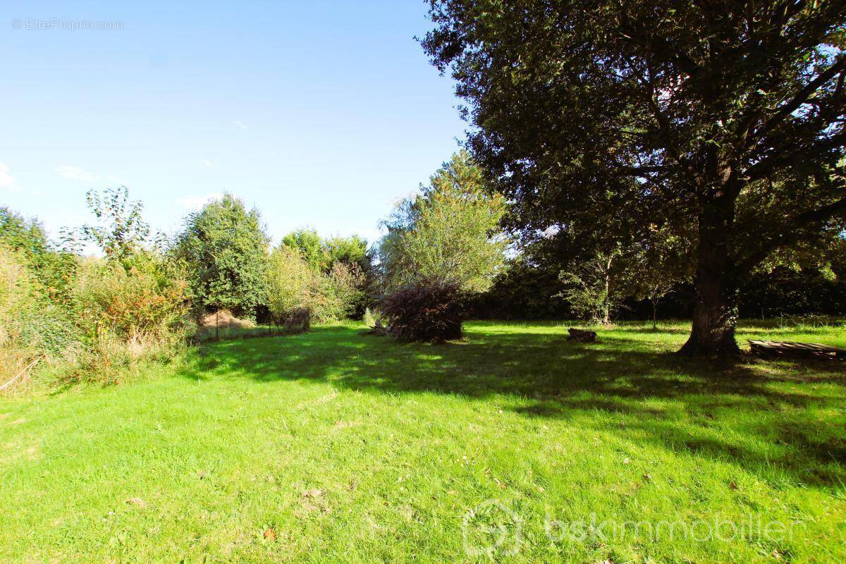 Terrain à NOGENT-LE-ROI