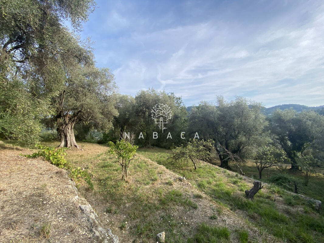 Terrain à LE BAR-SUR-LOUP