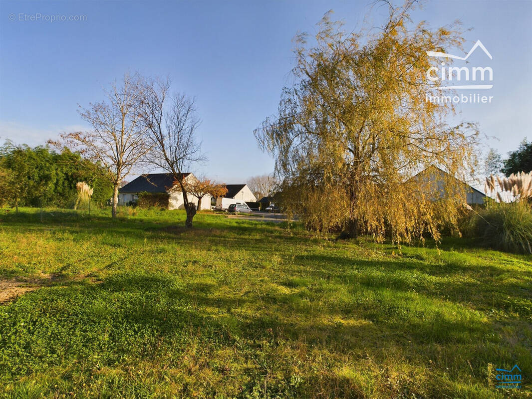 Terrain à LONGUE-JUMELLES