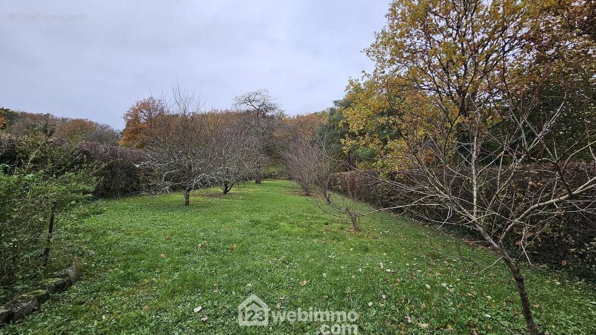 Un jardin entretenu de 2 765 m². - Maison à MILLY-LA-FORET