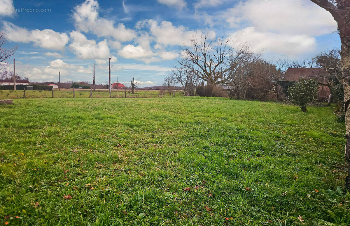 Terrain à SAINT-SEVER