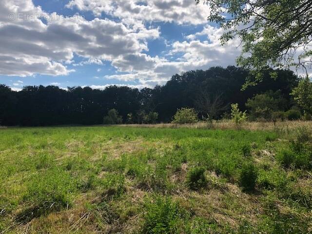 Terrain à MONTRIEUX-EN-SOLOGNE