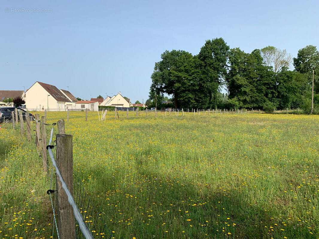 Terrain à ATHIES-SOUS-LAON