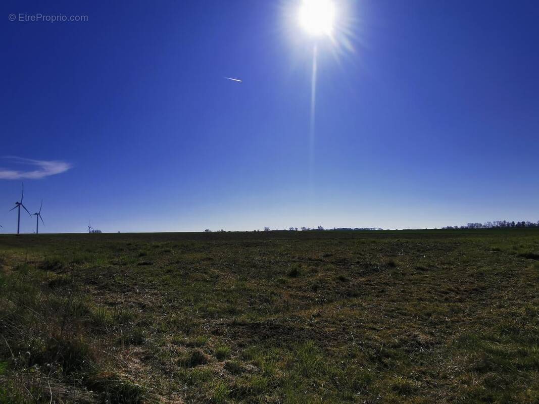 Terrain à MARQUION