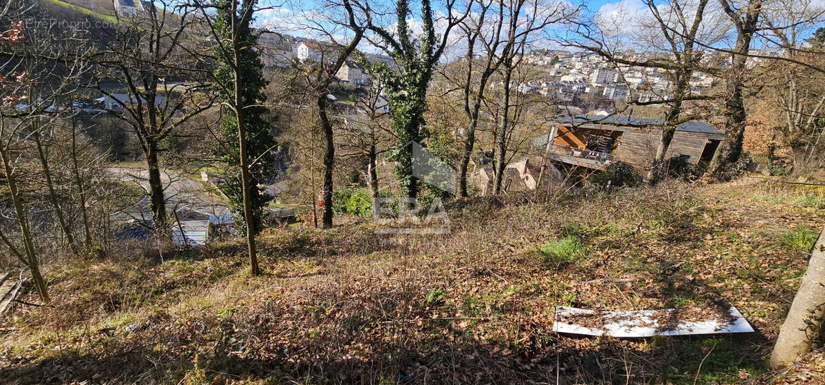 Terrain à LE MONASTERE