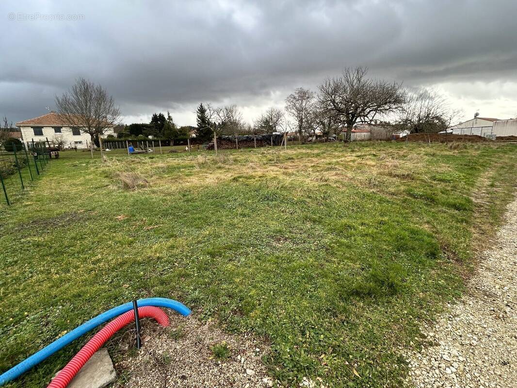 Terrain à SAINT-SORNIN