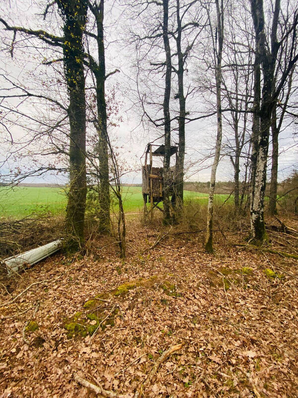 Terrain à BRETHENAY