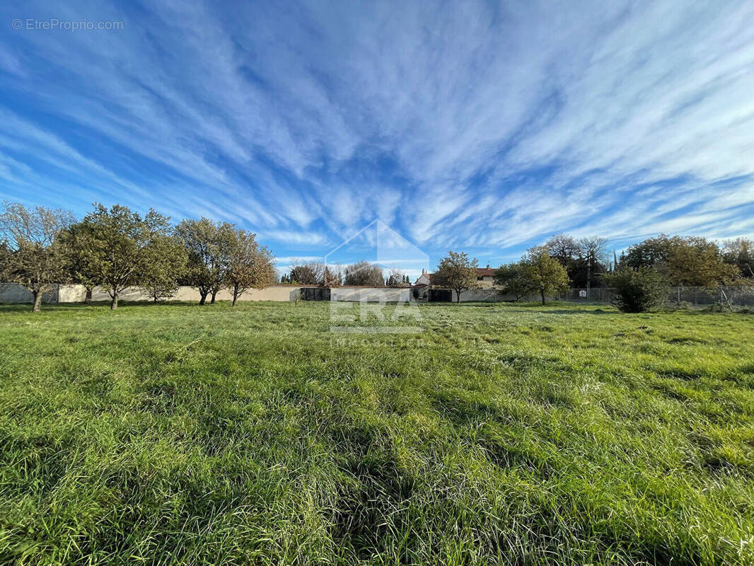 Terrain à PERPIGNAN