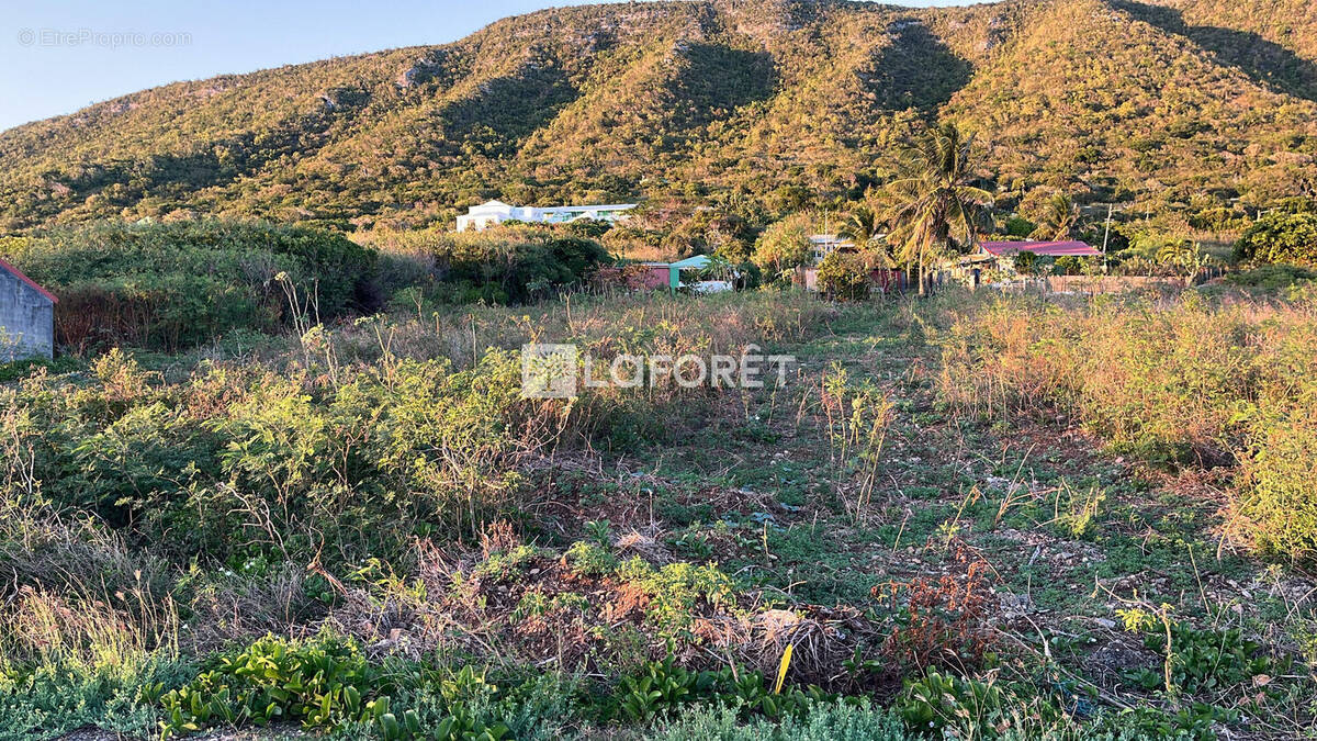 Terrain à LA DESIRADE