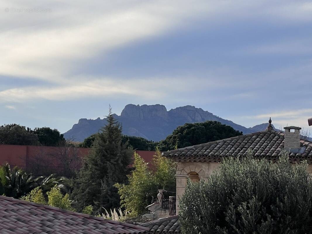 Appartement à PUGET-SUR-ARGENS