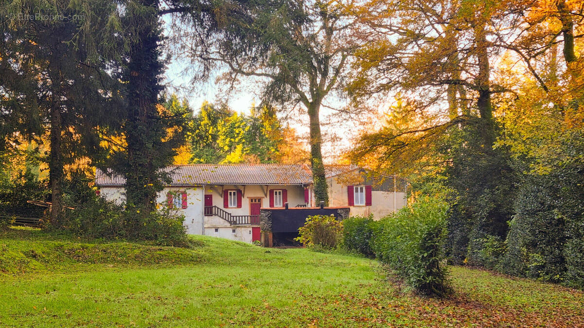 facade - Maison à SAISSAC