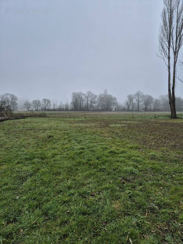 Terrain à SAINT-YRIEIX-SUR-CHARENTE