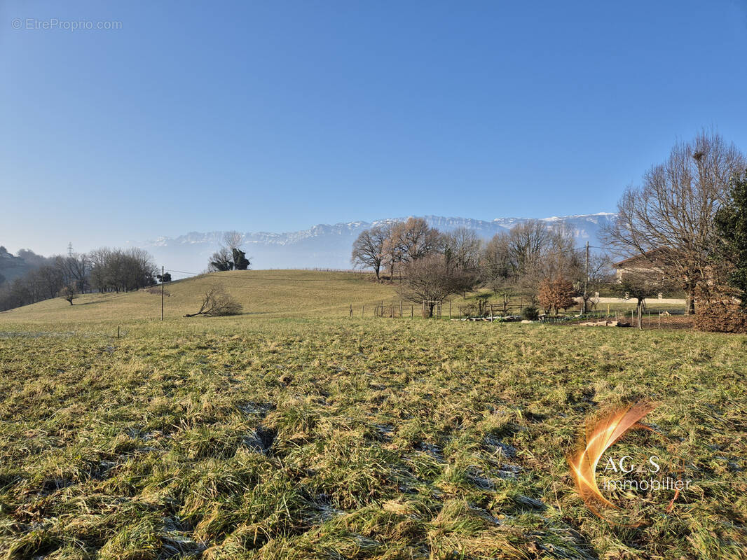 Terrain à LA CHAPELLE-BLANCHE