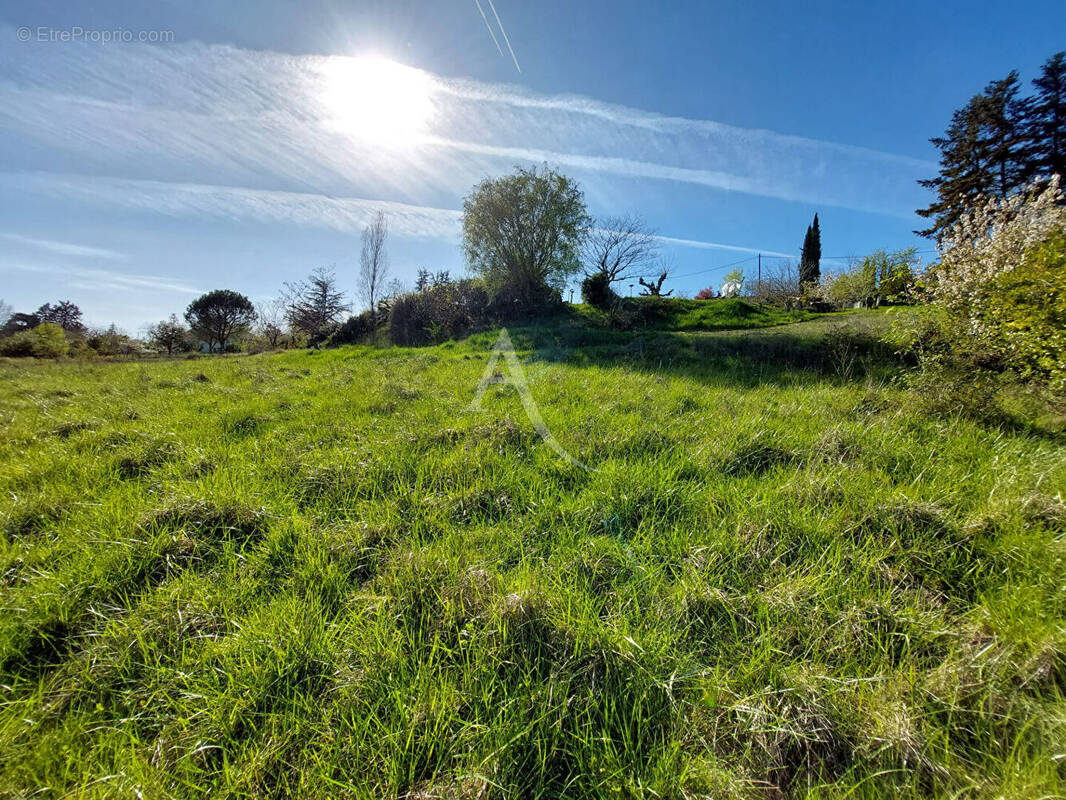 Terrain à RABASTENS