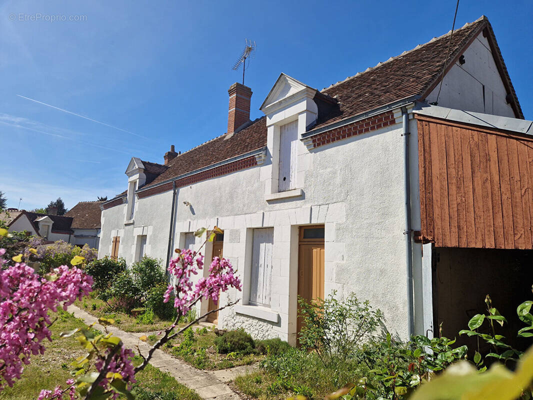 Maison à SELLES-SUR-CHER